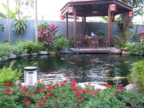 Bổ sung sinh khí cho ngôi nhà bằng cây xanh