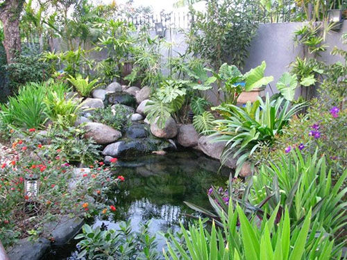 Bổ sung sinh khí cho ngôi nhà bằng cây xanh