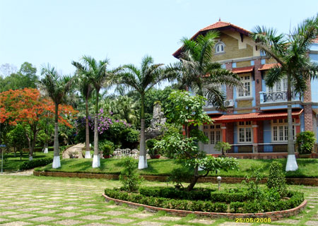 Phong thủy cho cây trồng trong sân vườn