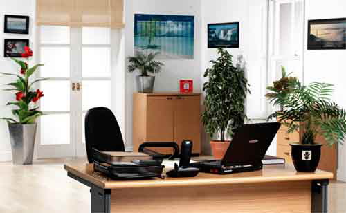 Phong thủy phù hợp với công việc kế toán