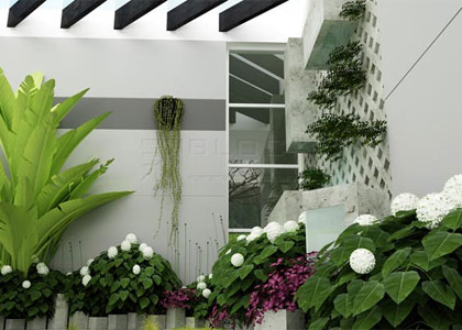 Trồng cây xanh trong nhà như thế nào là đủ?