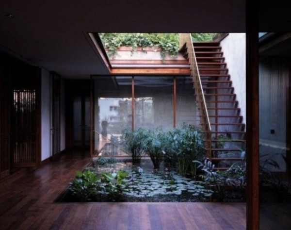 Ý tưởng độc đáo đem cây xanh vào nhà